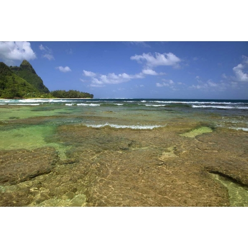 Hawaii, Kauai Coral formations on Tunnels Beach